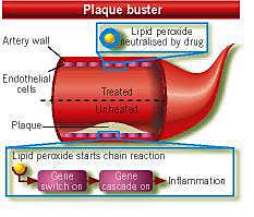New Scientist. Science news and long reads from expert journalists, covering developments in science, technology, health and the environment on the website and the magazine.