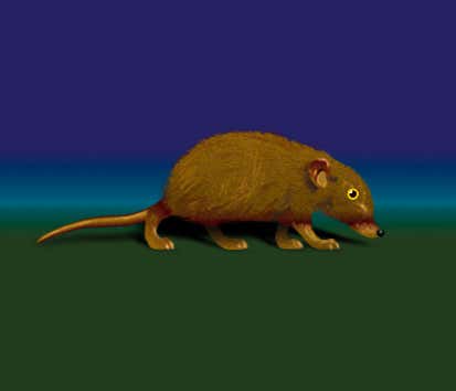 New Scientist. Science news and long reads from expert journalists, covering developments in science, technology, health and the environment on the website and the magazine.