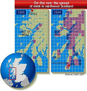 New Scientist. Science news and long reads from expert journalists, covering developments in science, technology, health and the environment on the website and the magazine.
