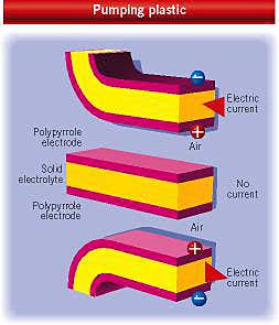 New Scientist. Science news and long reads from expert journalists, covering developments in science, technology, health and the environment on the website and the magazine.