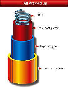 New Scientist. Science news and long reads from expert journalists, covering developments in science, technology, health and the environment on the website and the magazine.
