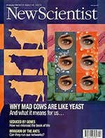 New Scientist issue 2118 cover