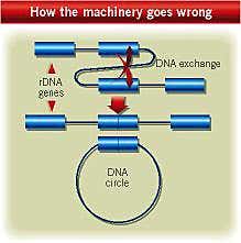 New Scientist. Science news and long reads from expert journalists, covering developments in science, technology, health and the environment on the website and the magazine.