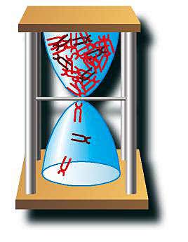 New Scientist. Science news and long reads from expert journalists, covering developments in science, technology, health and the environment on the website and the magazine.