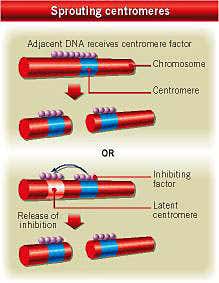 New Scientist. Science news and long reads from expert journalists, covering developments in science, technology, health and the environment on the website and the magazine.