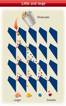 New Scientist. Science news and long reads from expert journalists, covering developments in science, technology, health and the environment on the website and the magazine.