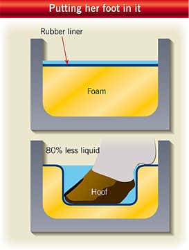 New Scientist. Science news and long reads from expert journalists, covering developments in science, technology, health and the environment on the website and the magazine.