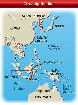 New Scientist. Science news and long reads from expert journalists, covering developments in science, technology, health and the environment on the website and the magazine.