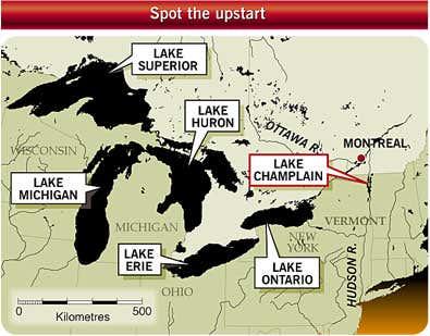 New Scientist. Science news and long reads from expert journalists, covering developments in science, technology, health and the environment on the website and the magazine.