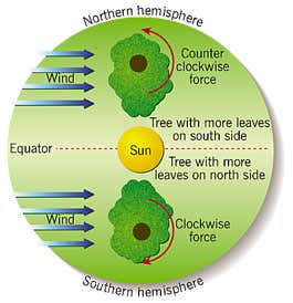 New Scientist. Science news and long reads from expert journalists, covering developments in science, technology, health and the environment on the website and the magazine.
