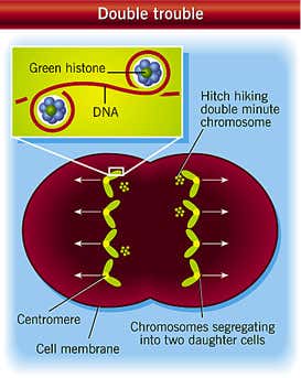 New Scientist. Science news and long reads from expert journalists, covering developments in science, technology, health and the environment on the website and the magazine.