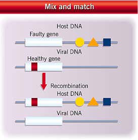 New Scientist. Science news and long reads from expert journalists, covering developments in science, technology, health and the environment on the website and the magazine.