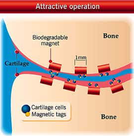 New Scientist. Science news and long reads from expert journalists, covering developments in science, technology, health and the environment on the website and the magazine.