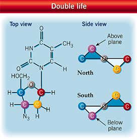 New Scientist. Science news and long reads from expert journalists, covering developments in science, technology, health and the environment on the website and the magazine.