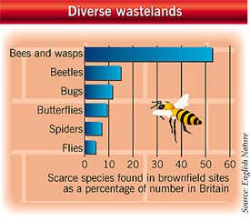 New Scientist. Science news and long reads from expert journalists, covering developments in science, technology, health and the environment on the website and the magazine.