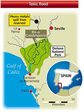 New Scientist. Science news and long reads from expert journalists, covering developments in science, technology, health and the environment on the website and the magazine.