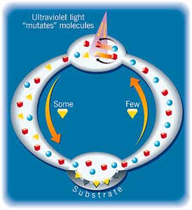 New Scientist. Science news and long reads from expert journalists, covering developments in science, technology, health and the environment on the website and the magazine.