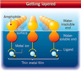 New Scientist. Science news and long reads from expert journalists, covering developments in science, technology, health and the environment on the website and the magazine.