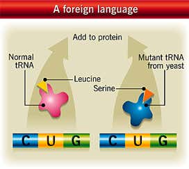 New Scientist. Science news and long reads from expert journalists, covering developments in science, technology, health and the environment on the website and the magazine.