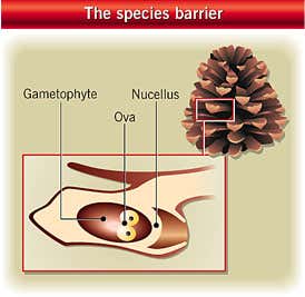 New Scientist. Science news and long reads from expert journalists, covering developments in science, technology, health and the environment on the website and the magazine.