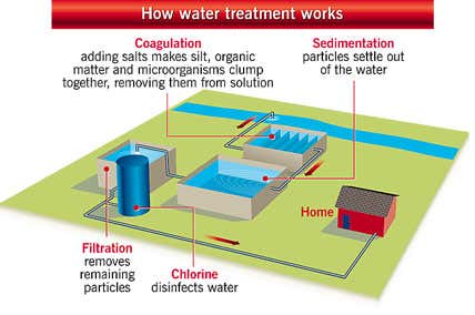New Scientist. Science news and long reads from expert journalists, covering developments in science, technology, health and the environment on the website and the magazine.