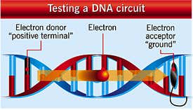 New Scientist. Science news and long reads from expert journalists, covering developments in science, technology, health and the environment on the website and the magazine.