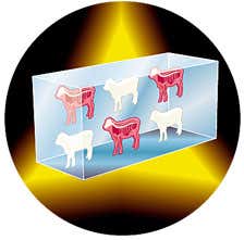 New Scientist. Science news and long reads from expert journalists, covering developments in science, technology, health and the environment on the website and the magazine.