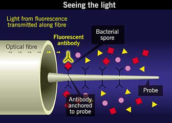 New Scientist. Science news and long reads from expert journalists, covering developments in science, technology, health and the environment on the website and the magazine.