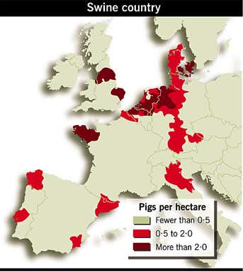 New Scientist. Science news and long reads from expert journalists, covering developments in science, technology, health and the environment on the website and the magazine.