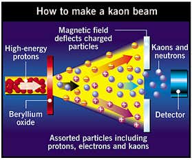 New Scientist. Science news and long reads from expert journalists, covering developments in science, technology, health and the environment on the website and the magazine.