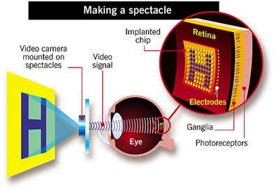 New Scientist. Science news and long reads from expert journalists, covering developments in science, technology, health and the environment on the website and the magazine.