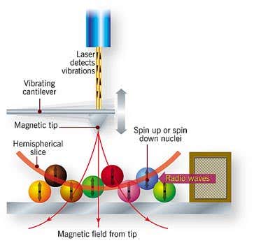 Three dimensional mapping of a biological molecule