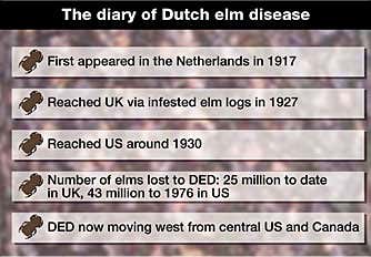New Scientist. Science news and long reads from expert journalists, covering developments in science, technology, health and the environment on the website and the magazine.