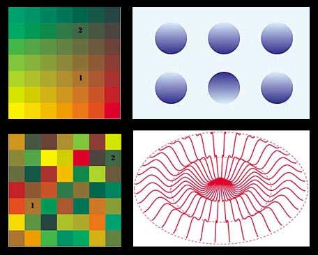 New Scientist. Science news and long reads from expert journalists, covering developments in science, technology, health and the environment on the website and the magazine.