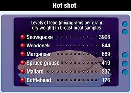 New Scientist. Science news and long reads from expert journalists, covering developments in science, technology, health and the environment on the website and the magazine.