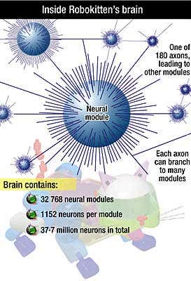 New Scientist. Science news and long reads from expert journalists, covering developments in science, technology, health and the environment on the website and the magazine.