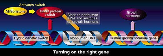 New Scientist. Science news and long reads from expert journalists, covering developments in science, technology, health and the environment on the website and the magazine.