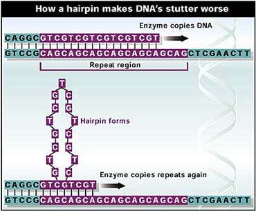 New Scientist. Science news and long reads from expert journalists, covering developments in science, technology, health and the environment on the website and the magazine.