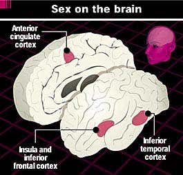 New Scientist. Science news and long reads from expert journalists, covering developments in science, technology, health and the environment on the website and the magazine.