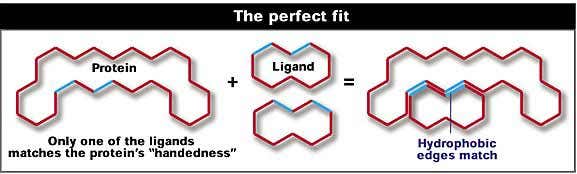 New Scientist. Science news and long reads from expert journalists, covering developments in science, technology, health and the environment on the website and the magazine.