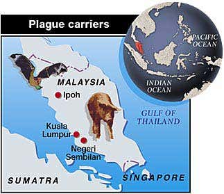 New Scientist. Science news and long reads from expert journalists, covering developments in science, technology, health and the environment on the website and the magazine.