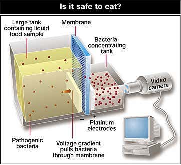 New Scientist. Science news and long reads from expert journalists, covering developments in science, technology, health and the environment on the website and the magazine.