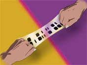 New Scientist. Science news and long reads from expert journalists, covering developments in science, technology, health and the environment on the website and the magazine.