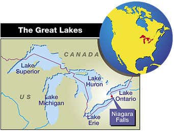 New Scientist. Science news and long reads from expert journalists, covering developments in science, technology, health and the environment on the website and the magazine.