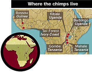 New Scientist. Science news and long reads from expert journalists, covering developments in science, technology, health and the environment on the website and the magazine.