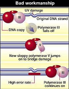 New Scientist. Science news and long reads from expert journalists, covering developments in science, technology, health and the environment on the website and the magazine.
