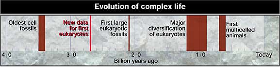 New Scientist. Science news and long reads from expert journalists, covering developments in science, technology, health and the environment on the website and the magazine.
