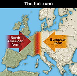 New Scientist. Science news and long reads from expert journalists, covering developments in science, technology, health and the environment on the website and the magazine.