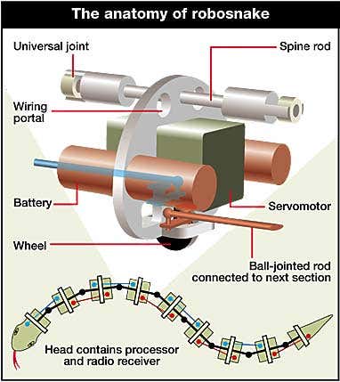 New Scientist. Science news and long reads from expert journalists, covering developments in science, technology, health and the environment on the website and the magazine.