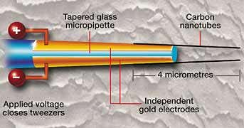 New Scientist. Science news and long reads from expert journalists, covering developments in science, technology, health and the environment on the website and the magazine.